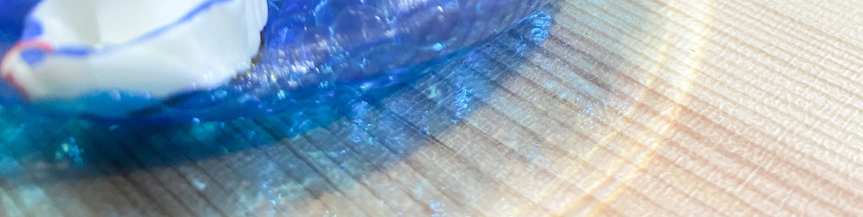 Singapore Volcanic Shrimp Aquarium Workshop - Thumbnail 10