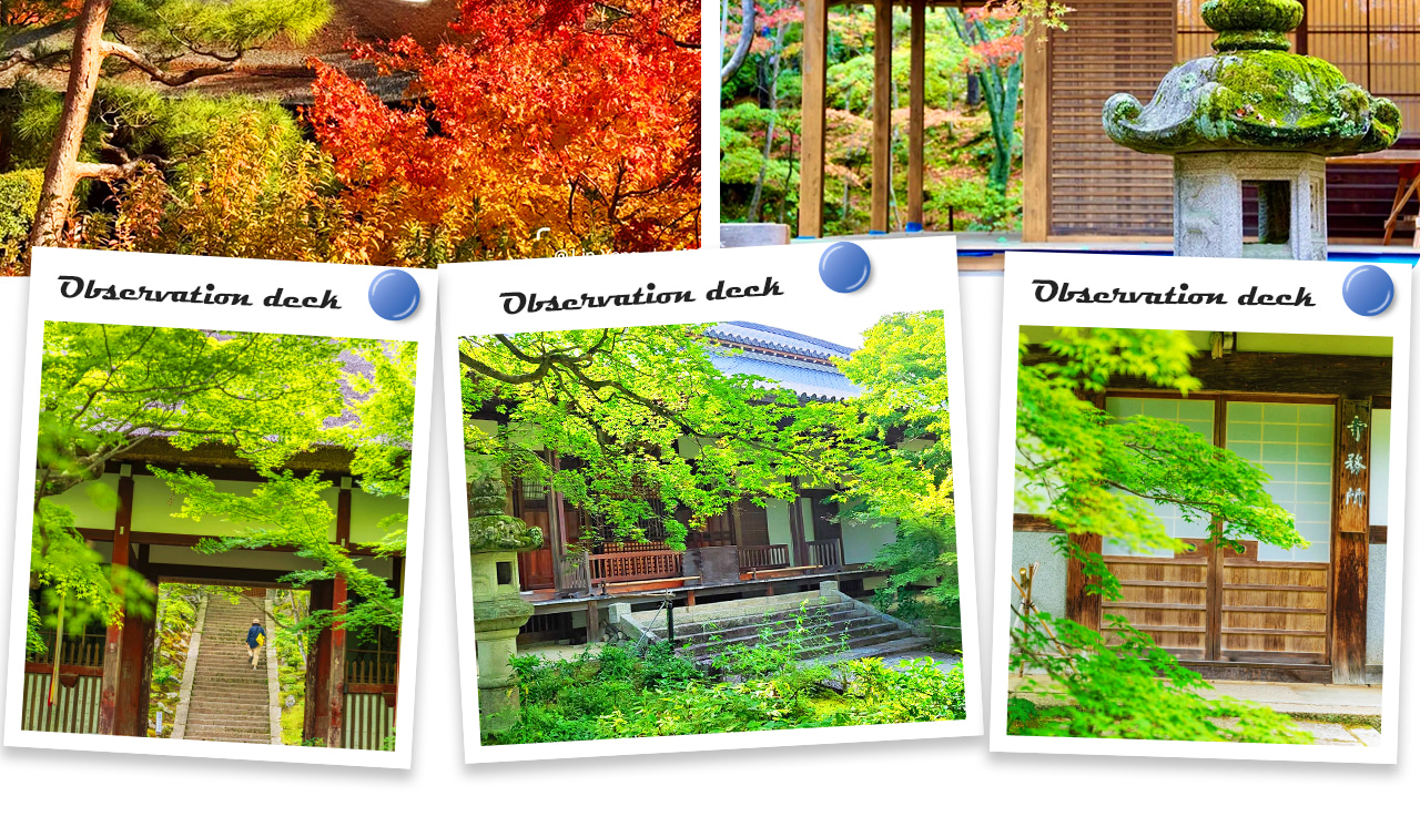 Kyoto Dream Illumination Autumn Foliage Day Tour - Kinkaku-ji & Arashiyama (Includes Night Maple Train - Departing from Osaka/Kyoto) - Thumbnail 10