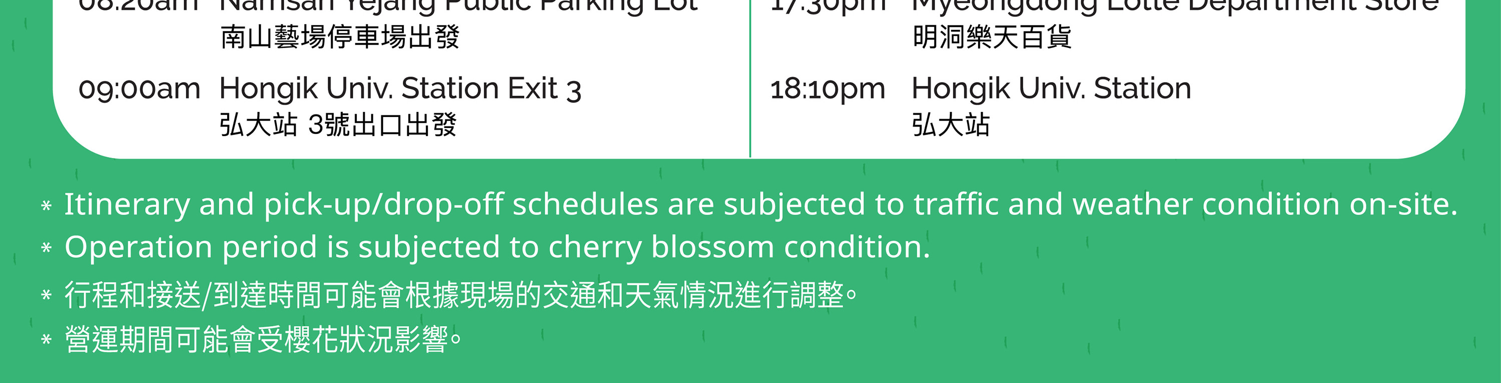 首爾八重櫻花一日遊（首爾出發）