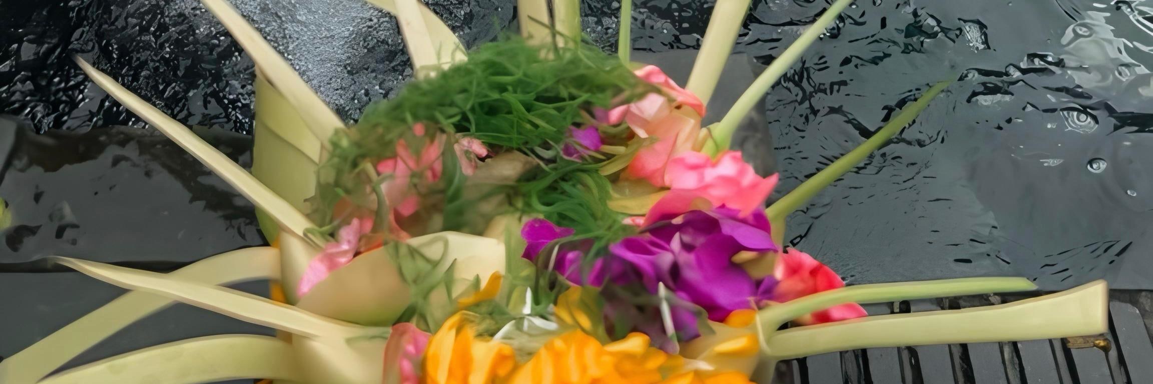 烏布Instagram景點私人全包一日遊