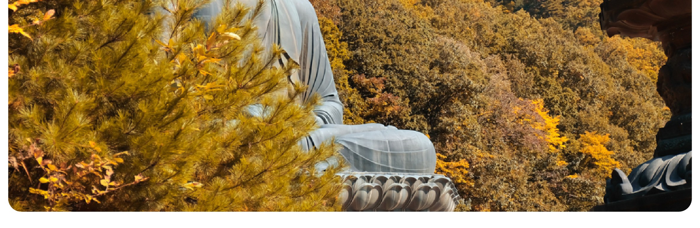 在專業導遊的帶領下，探索韓國雪嶽山 (Mountain Seorak) 令人驚豔的山峰和寧靜步道。