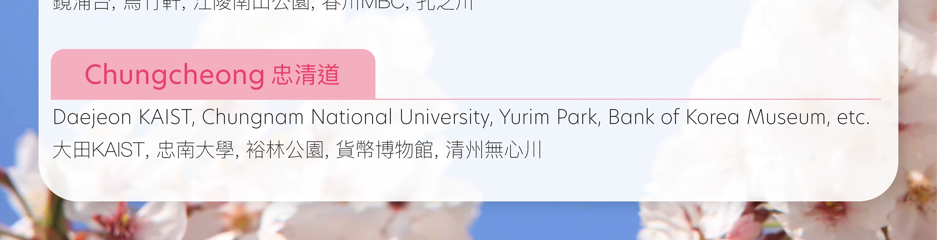 [盲盒櫻花團]浪漫追櫻 & 春季賞花一日遊（首爾出發）