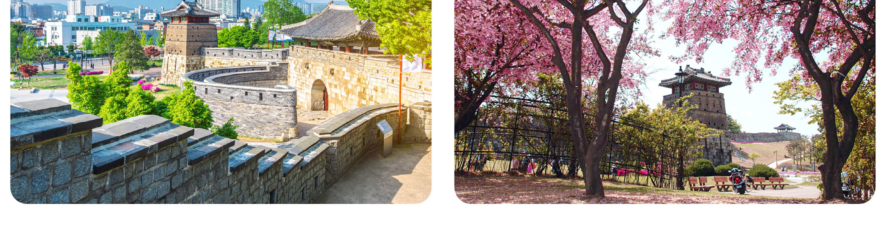 深入探索水原華城 (Suwon Hwaseong) 的每個角落，並在傳統韓國背景下拍攝令人難忘的照片。