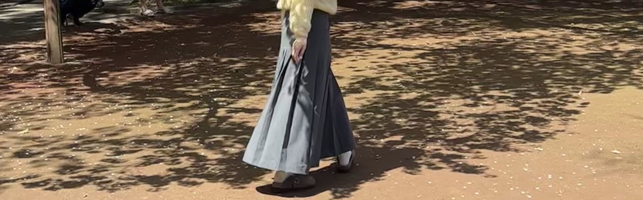 濟州賞櫻及草莓採摘小團一日遊