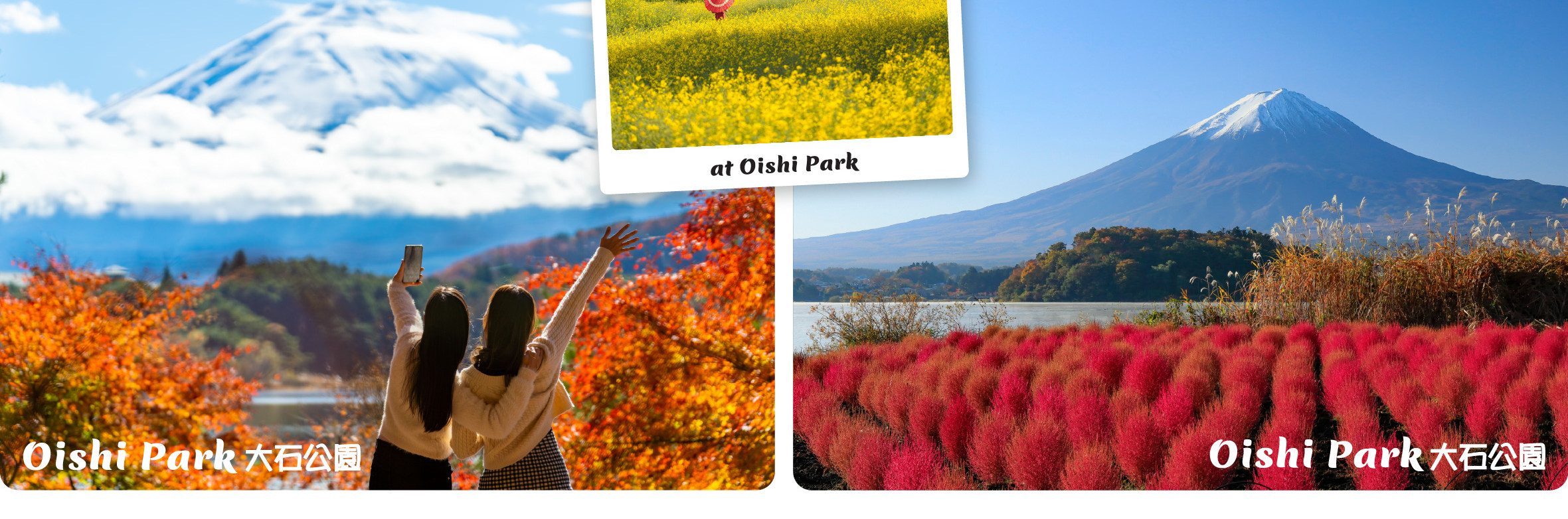 富士山 & 箱根: 富士山五合目/河口湖/大石公園/忍野八海/大涌谷/大淵笹場/雕刻之森美術館/箱根纜車/海賊船 (中/英/韓語導遊)