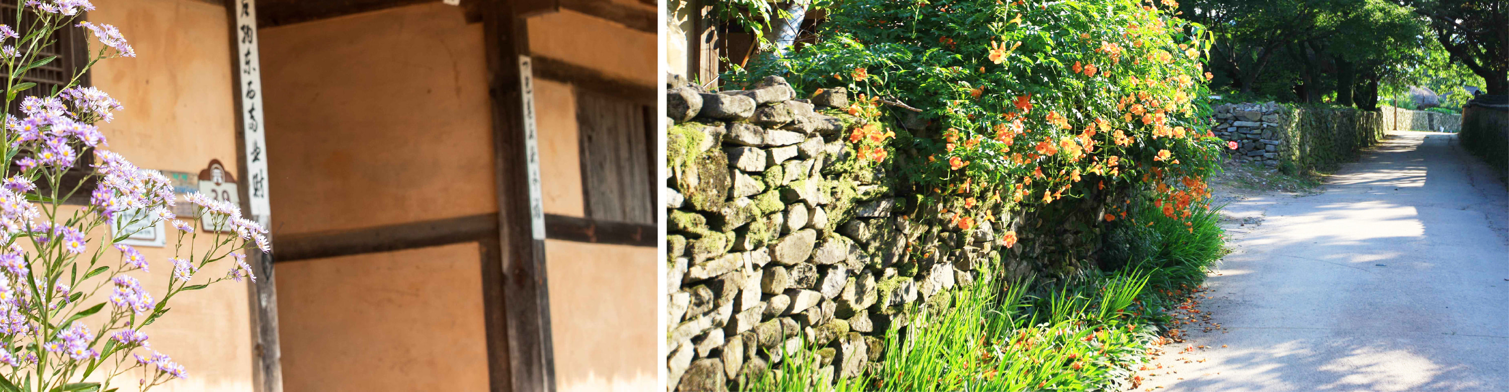 A rustic wooden bridge over a gentle stream leads you into a picture-perfect scene of old Korea, untouched by time.