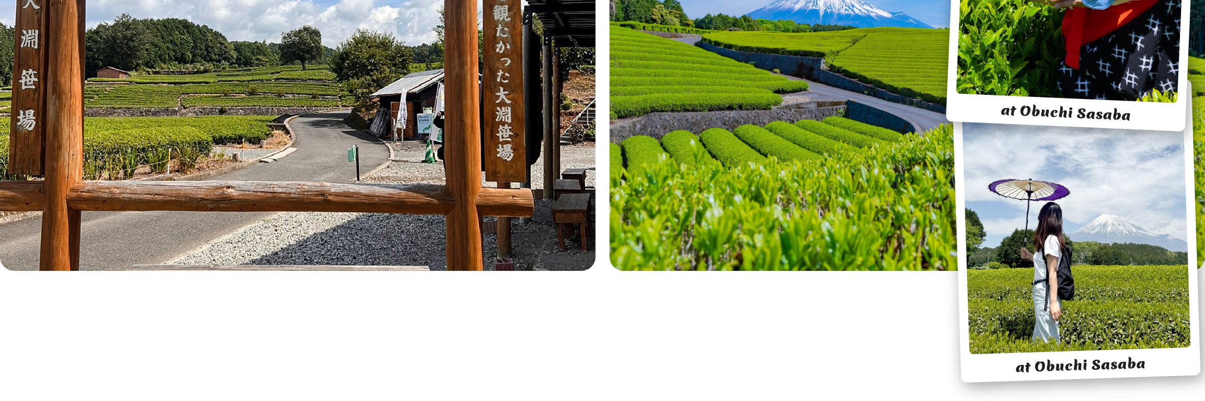 富士山 & 箱根: 富士山五合目/河口湖/大石公園/忍野八海/大涌谷/大淵笹場/雕刻之森美術館/箱根纜車/海賊船 (中/英/韓語導遊)