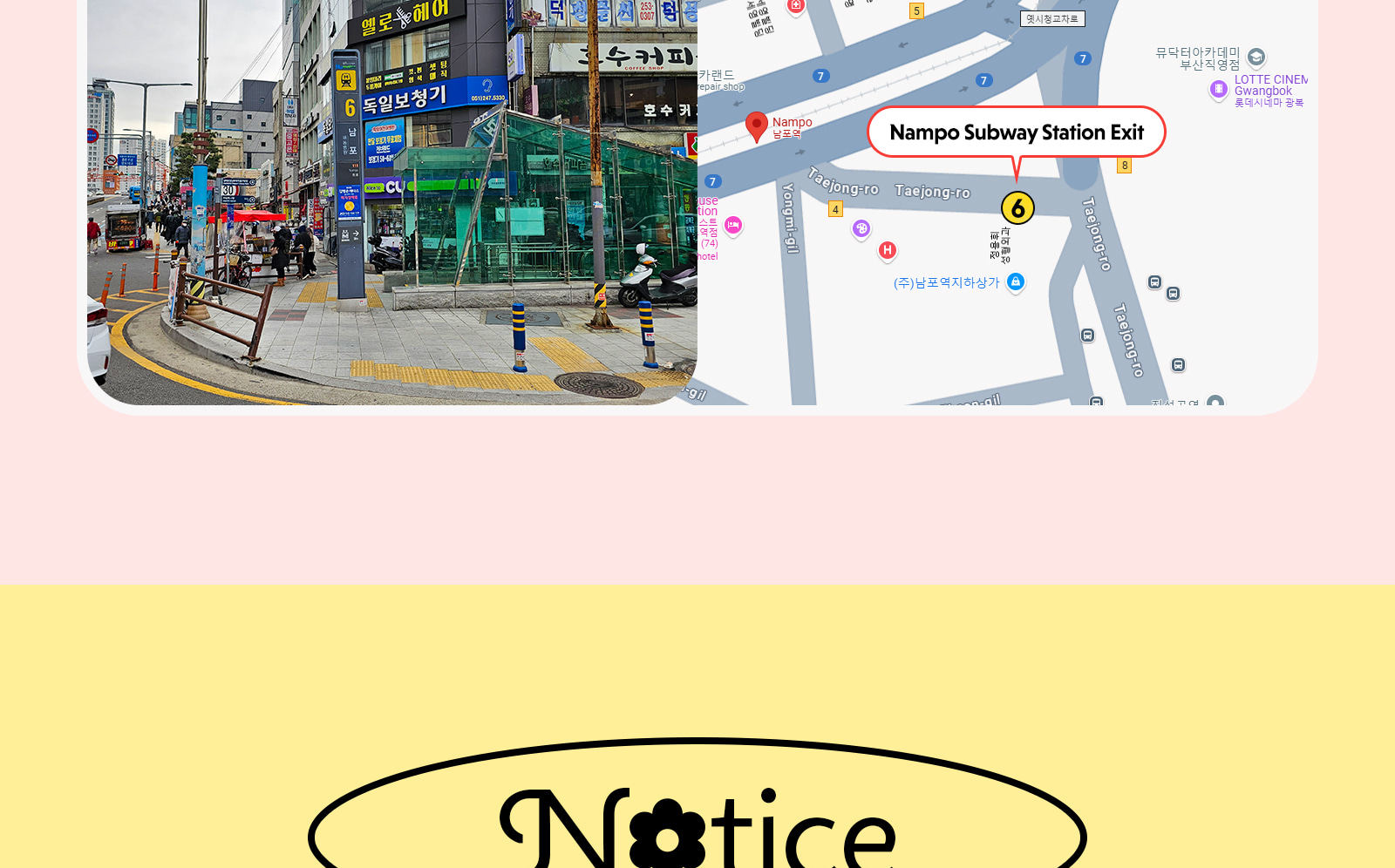 鎮海軍港櫻花節之旅 - 僅限英語