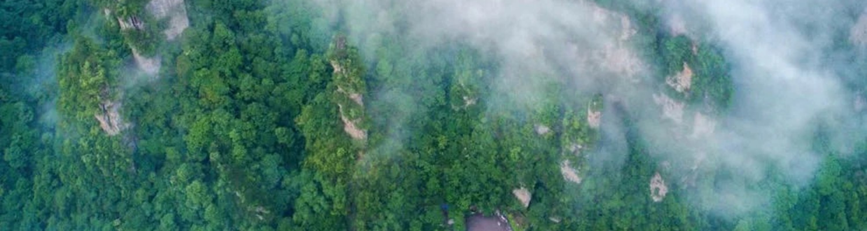 湖南魅力張家界高端4日遊（四鑽酒店+張家界國家森林公園+天門山+網紅玻璃橋+《阿凡達》取景地+百米電梯+黃龍洞溶洞+一次玩遍精華景點+接