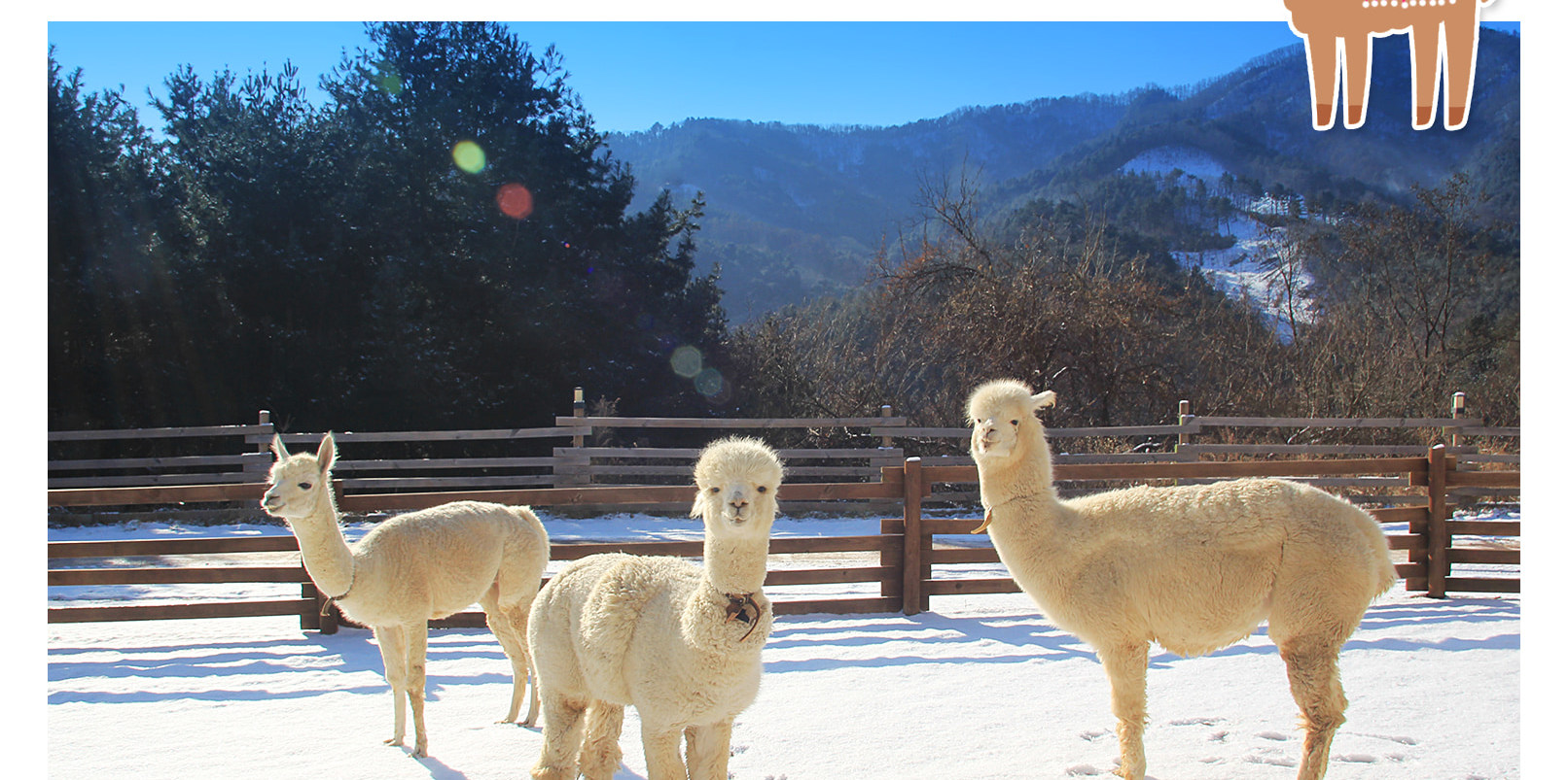 南怡島 / 埃歐比冰谷 / 伊利西昂滑雪場