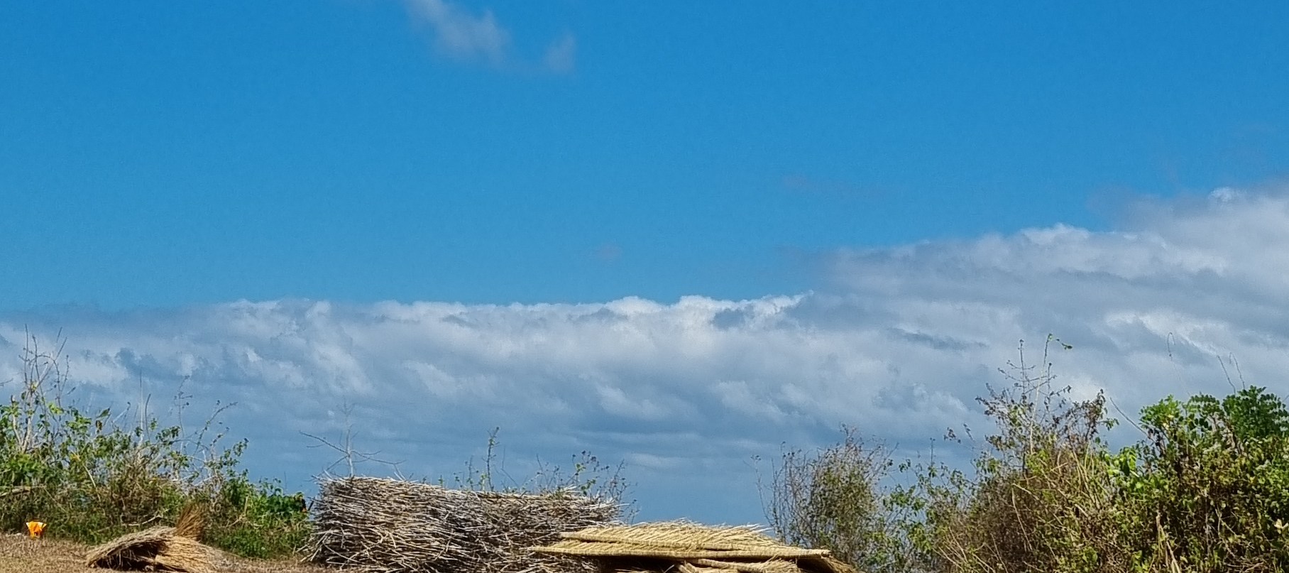 巴厘島滑翔傘 & 烏魯瓦圖日落之旅