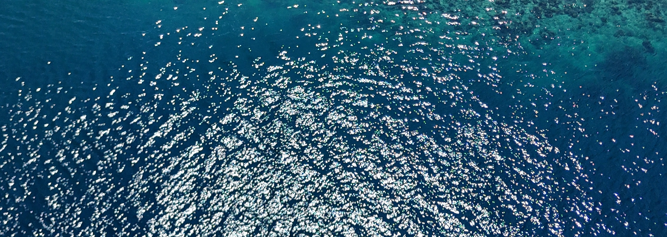 Asha Resort海灘俱樂部的空中鳥瞰美景