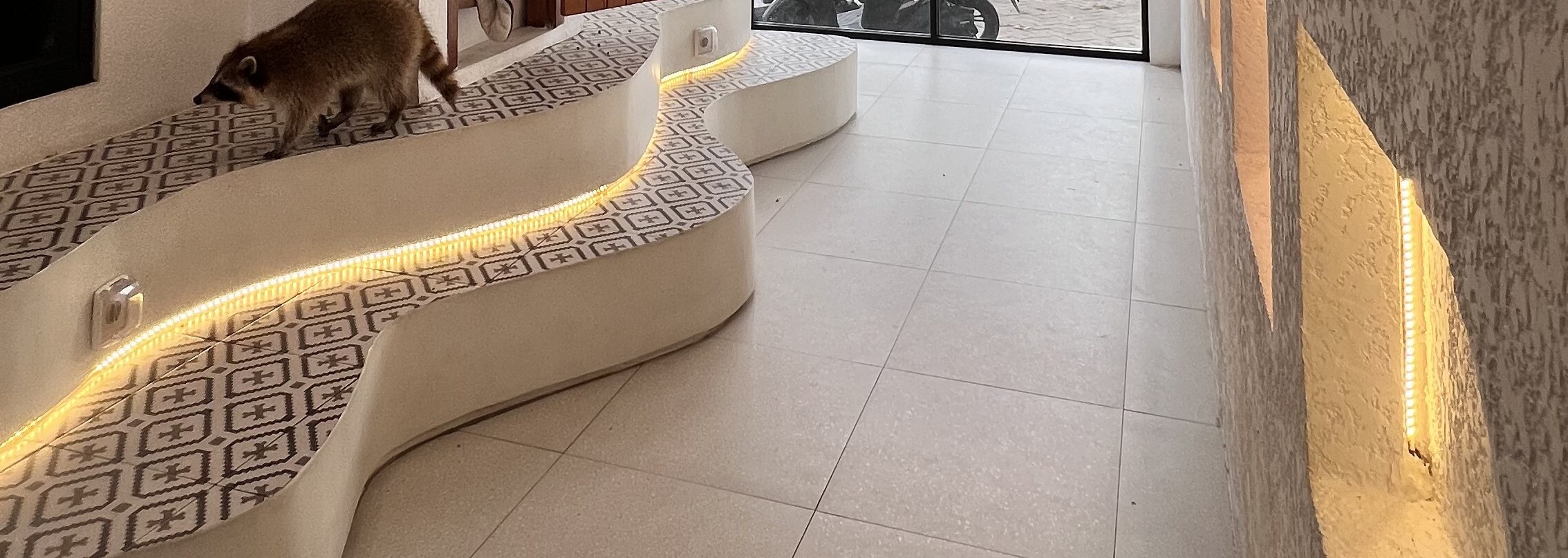 巴厘島寵物天堂寵物咖啡館和休息室 (Pet Cafe and Lounge in Bali Pet Nirvana)