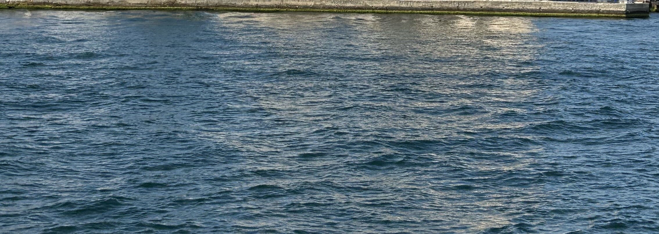 Beyond Continents: 3-Hour Istanbul Bosphorus Cruise with Asian Shore