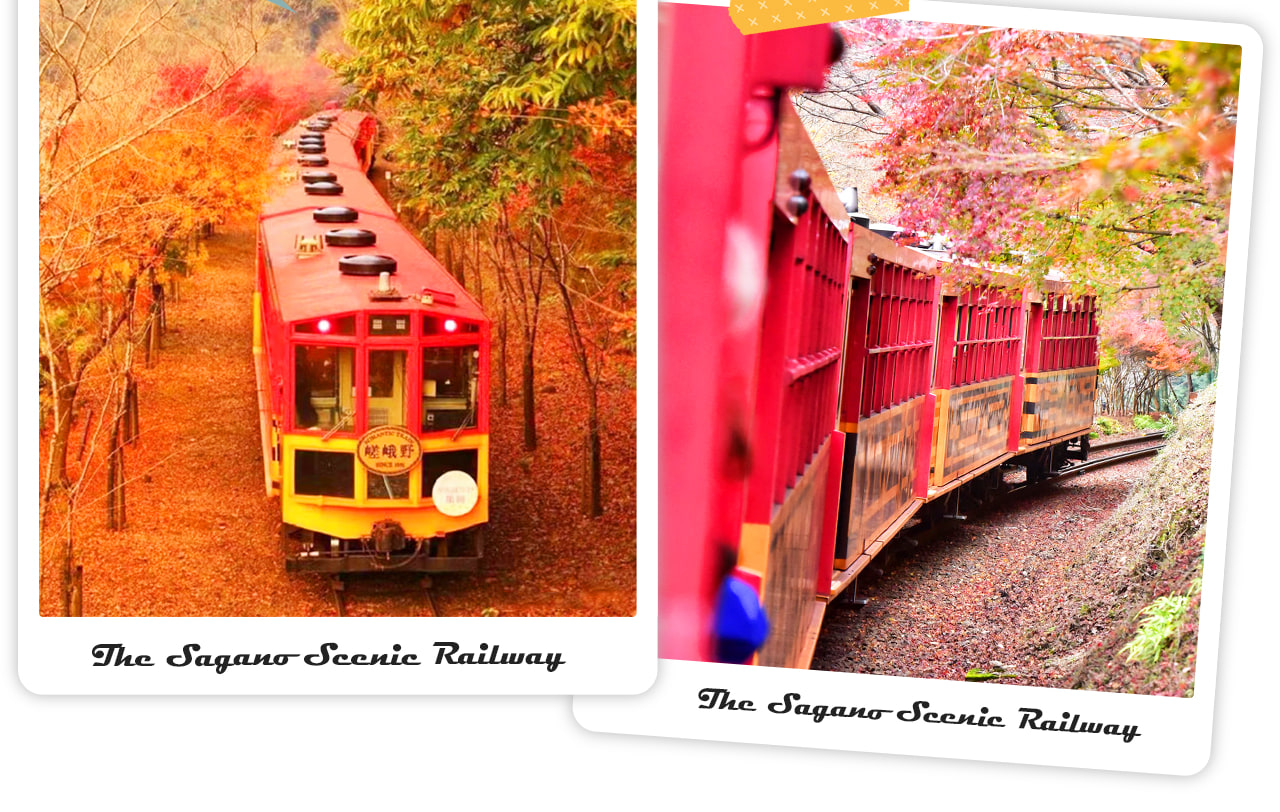Kyoto Dream Illumination Autumn Foliage Day Tour - Kinkaku-ji & Arashiyama (Includes Night Maple Train - Departing from Osaka/Kyoto) - Thumbnail 14