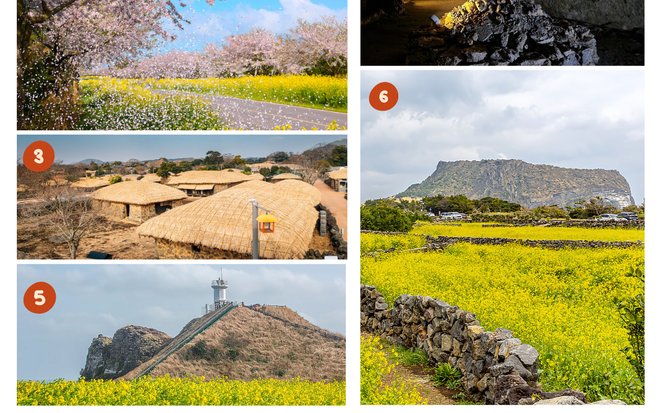 2025年濟州島南部世界遺產景點春季之旅