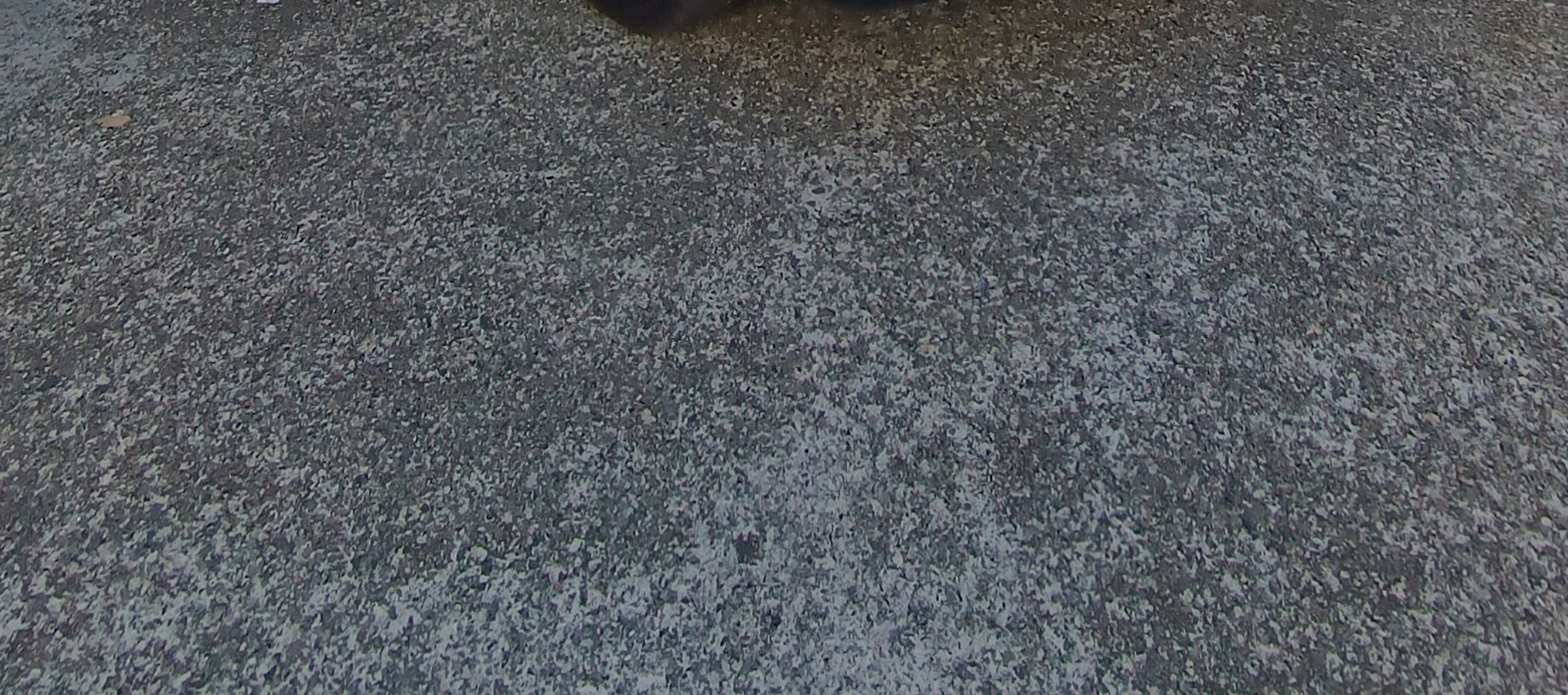 民丹島包車遊覽 