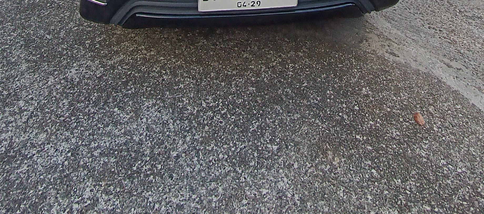 民丹島包車遊覽 