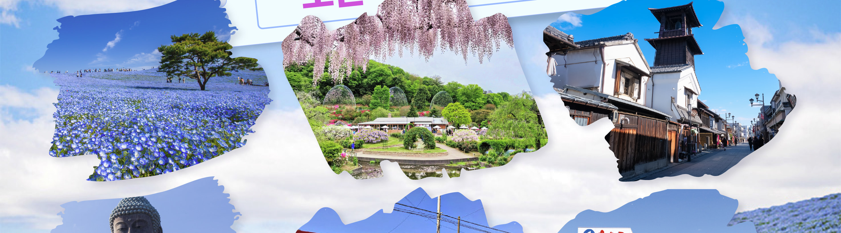 季節限定: 國營常陸海濱公園 & 足利花卉公園一日遊 (東京出發)