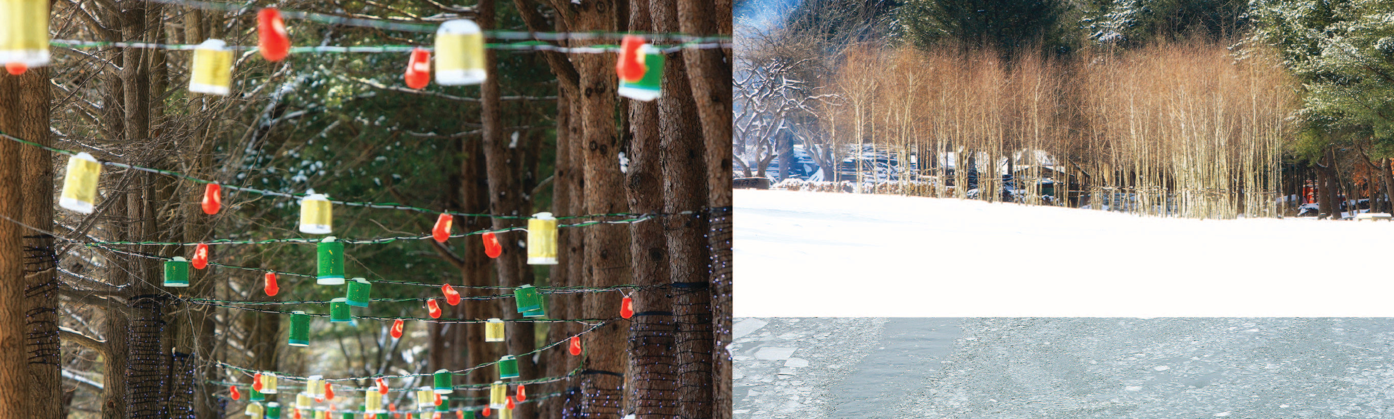 Nami Island & Happy Panorama Field & Morning Calm & Railbike