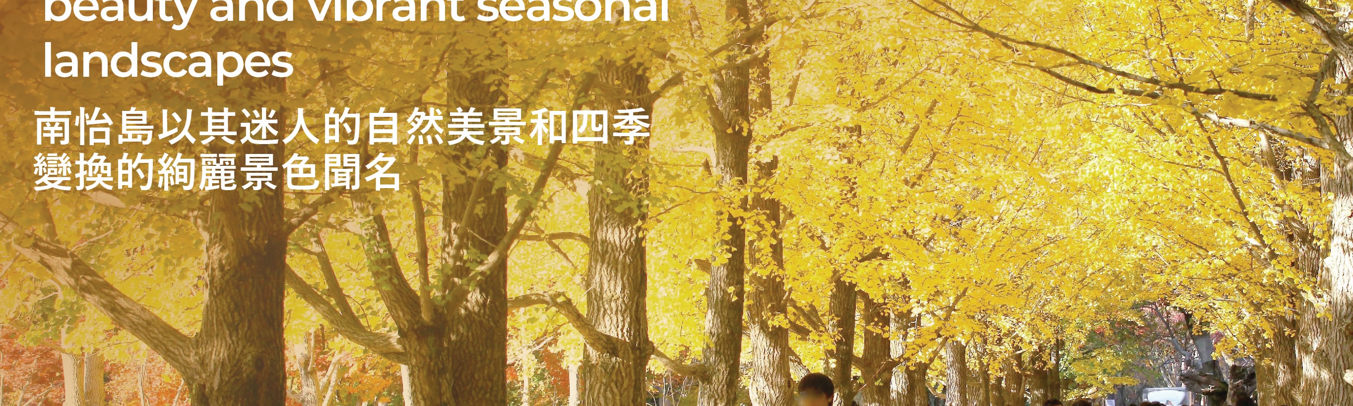 南怡島 (Nami Island) & 伊甸園冰雪世界 (Eobi Ice Valley) & 全景場 (Panorama Field) &  晨靜樹木園 (Morning Calm) 旅遊