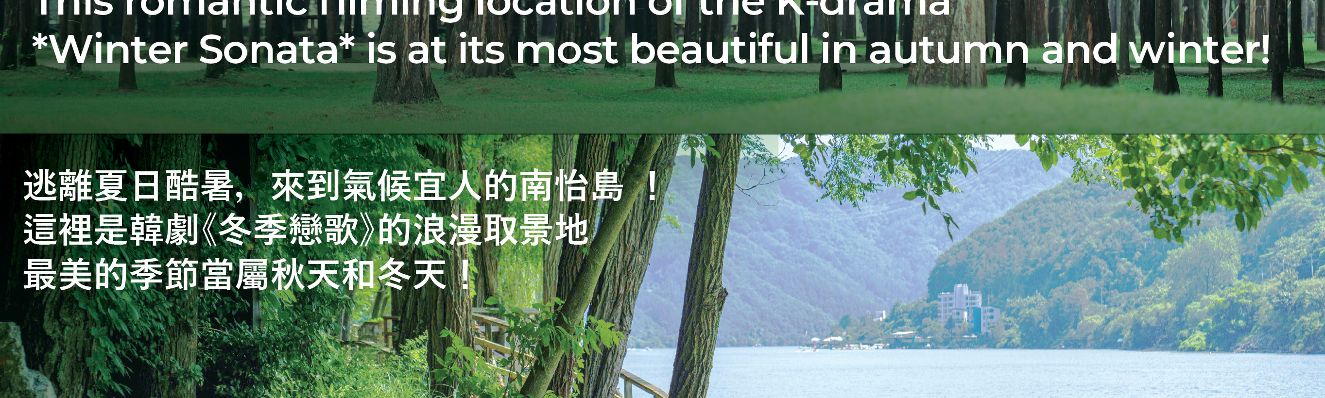 南怡島 (Nami Island) & 伊甸園冰雪世界 (Eobi Ice Valley) & 全景場 (Panorama Field) &  晨靜樹木園 (Morning Calm) 旅遊