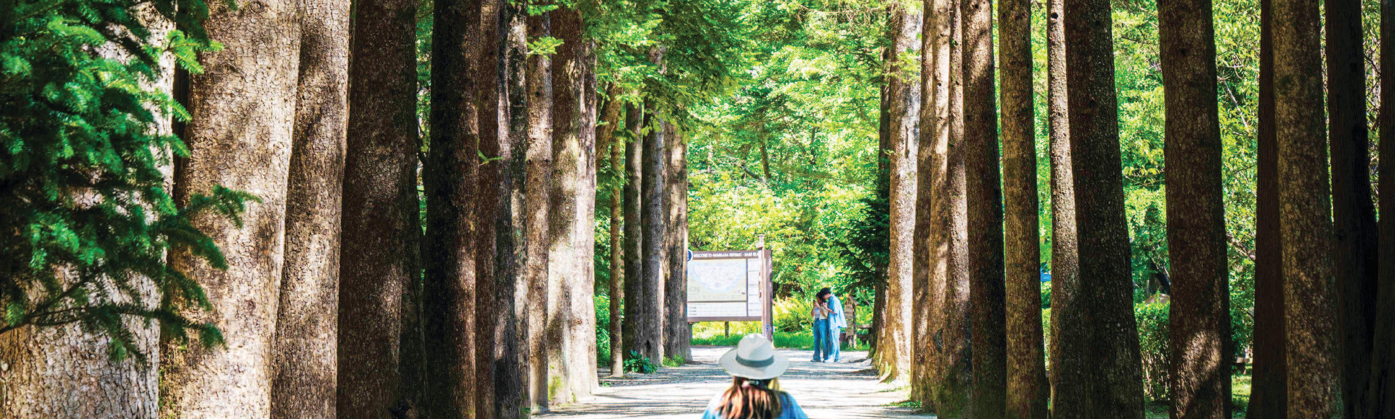 Nami Island & Happy Panorama Field & Morning Calm & Railbike