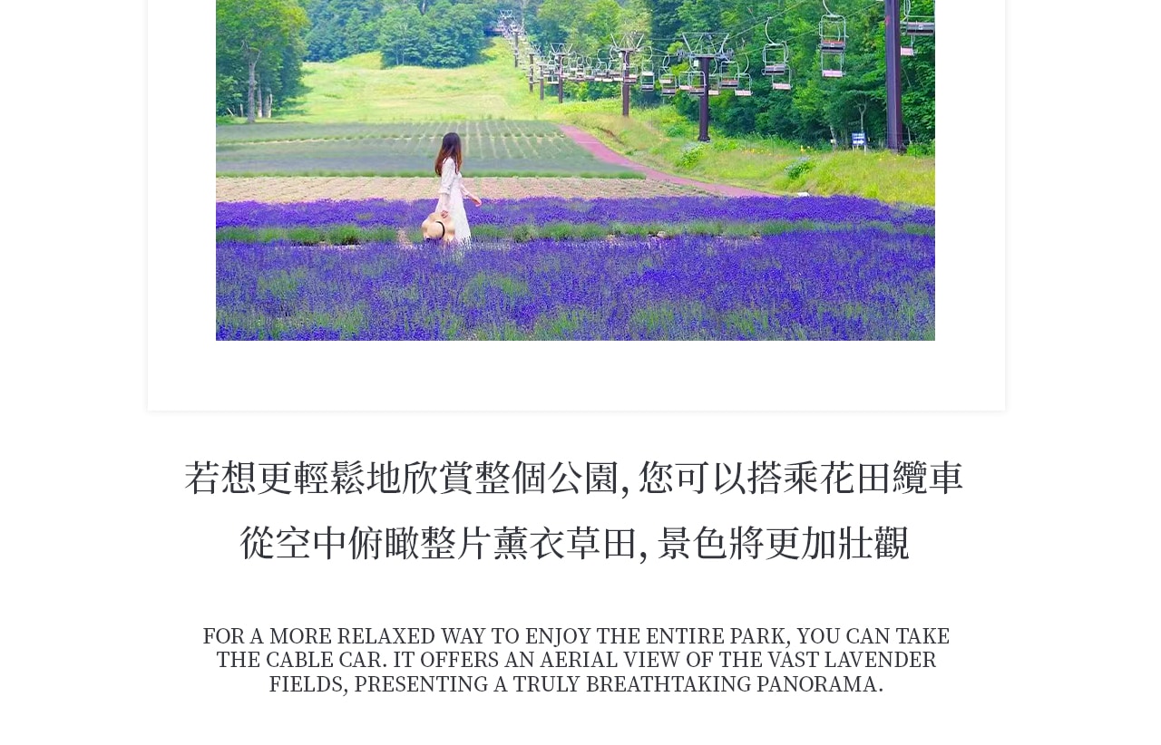 不用飛北海道,也能一次收集成片紫色花海!
超過五萬株薰衣草齊放,鋪滿整個山坡,一走進就被淡淡清香包圍,夢幻到宛如來到童話世界。 不用飛北海道,也能一次收集成片紫色花海!
超過五萬株薰衣草齊放,鋪滿整個山坡,一走進就被淡淡清香包圍,夢幻到宛如來到童話世界。