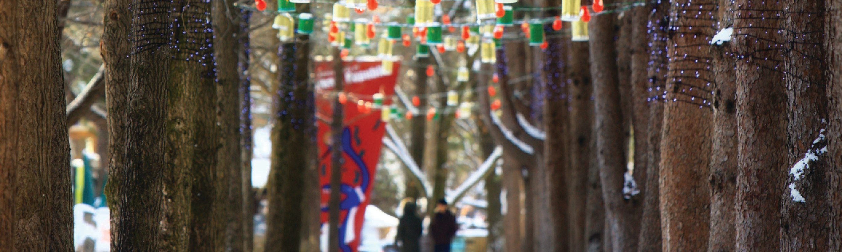 南怡島 (Nami Island) & 伊甸園冰雪世界 (Eobi Ice Valley) & 全景場 (Panorama Field) &  晨靜樹木園 (Morning Calm) 旅遊