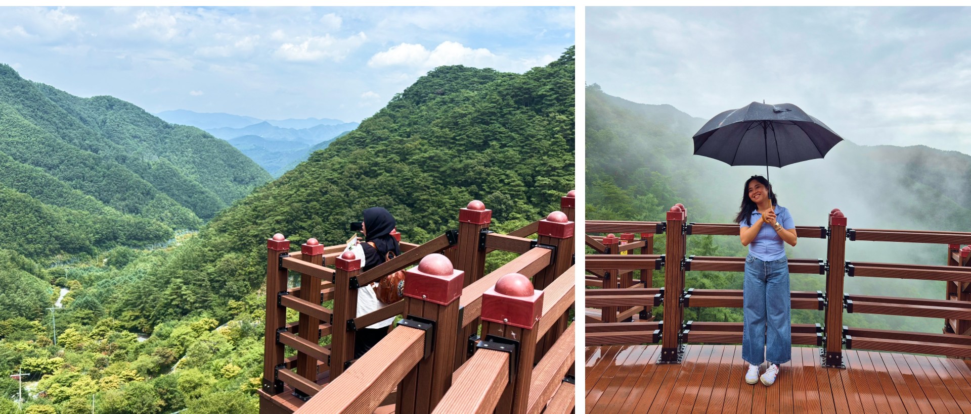 馳騁在寶筏嶺路 (Bobaljae Road) 蔥鬱的綠色美景中，然後在觀景台稍作停留，拍下令人驚豔的網美照。
