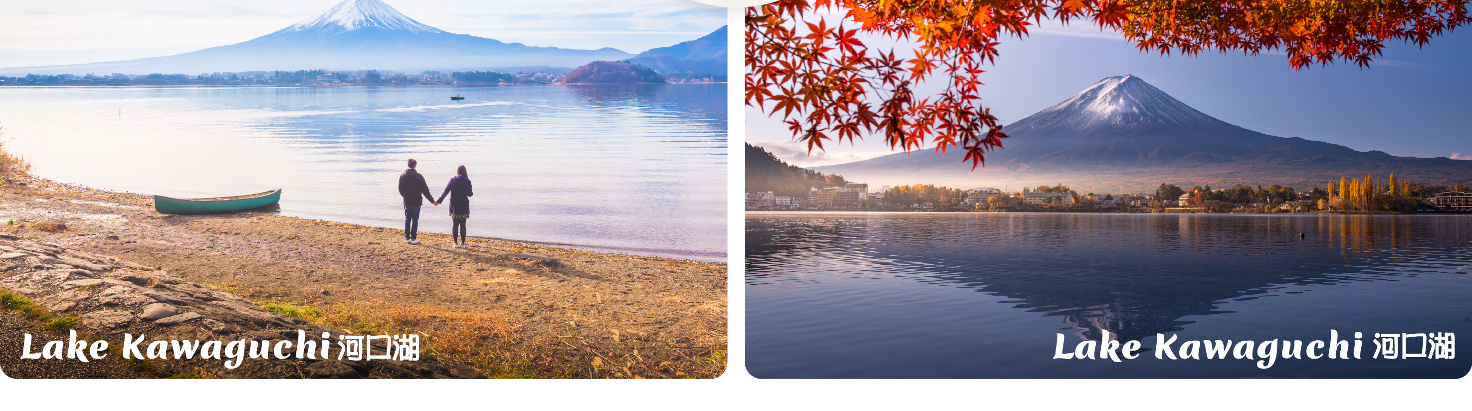 富士山 & 箱根: 富士山五合目/河口湖/大石公園/忍野八海/大涌谷/大淵笹場/雕刻之森美術館/箱根纜車/海賊船 (中/英/韓語導遊)