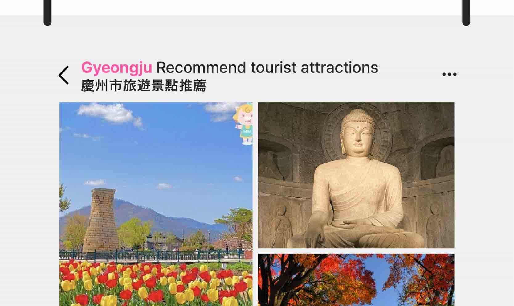 首爾私人訂製汽車之旅