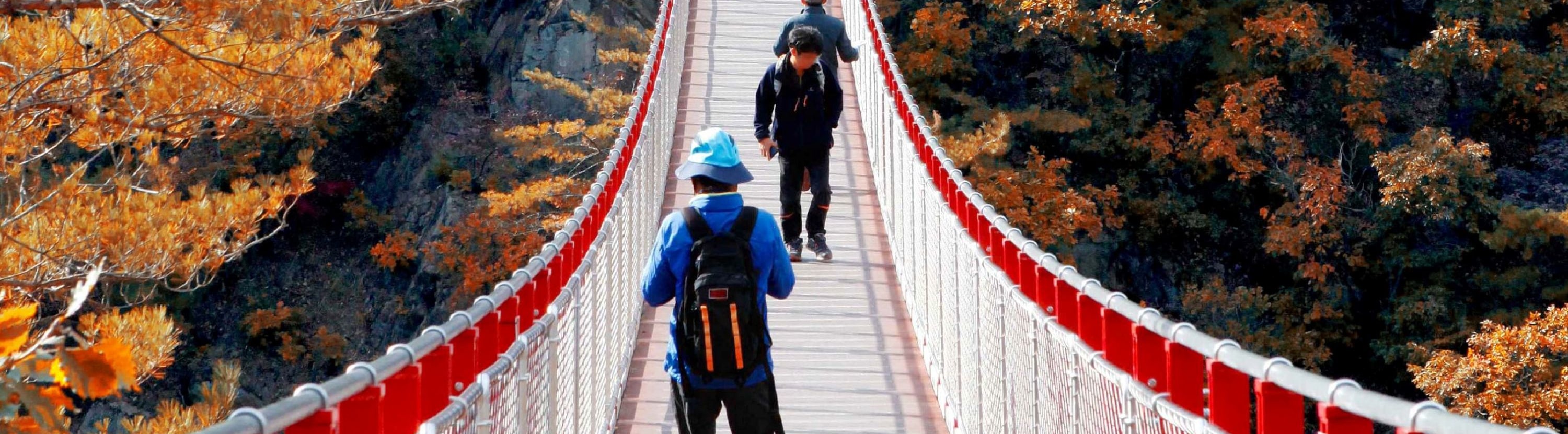 首爾市 & 季節性熱門景點一日遊
