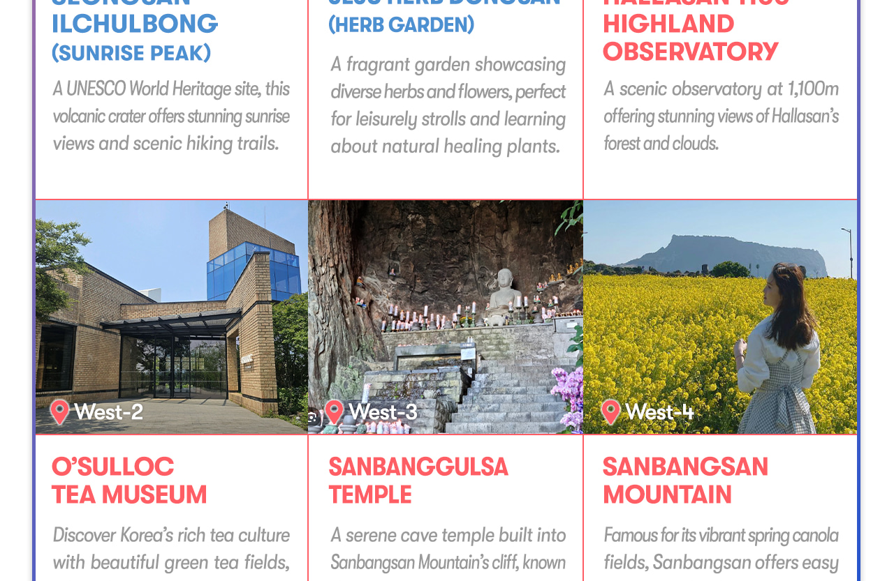 Jeju Car Rental with Driver to Seongsan Sunrise Peak/Osulloc Tea Museum/Cheonjeyeon Waterfalls/Folk Village