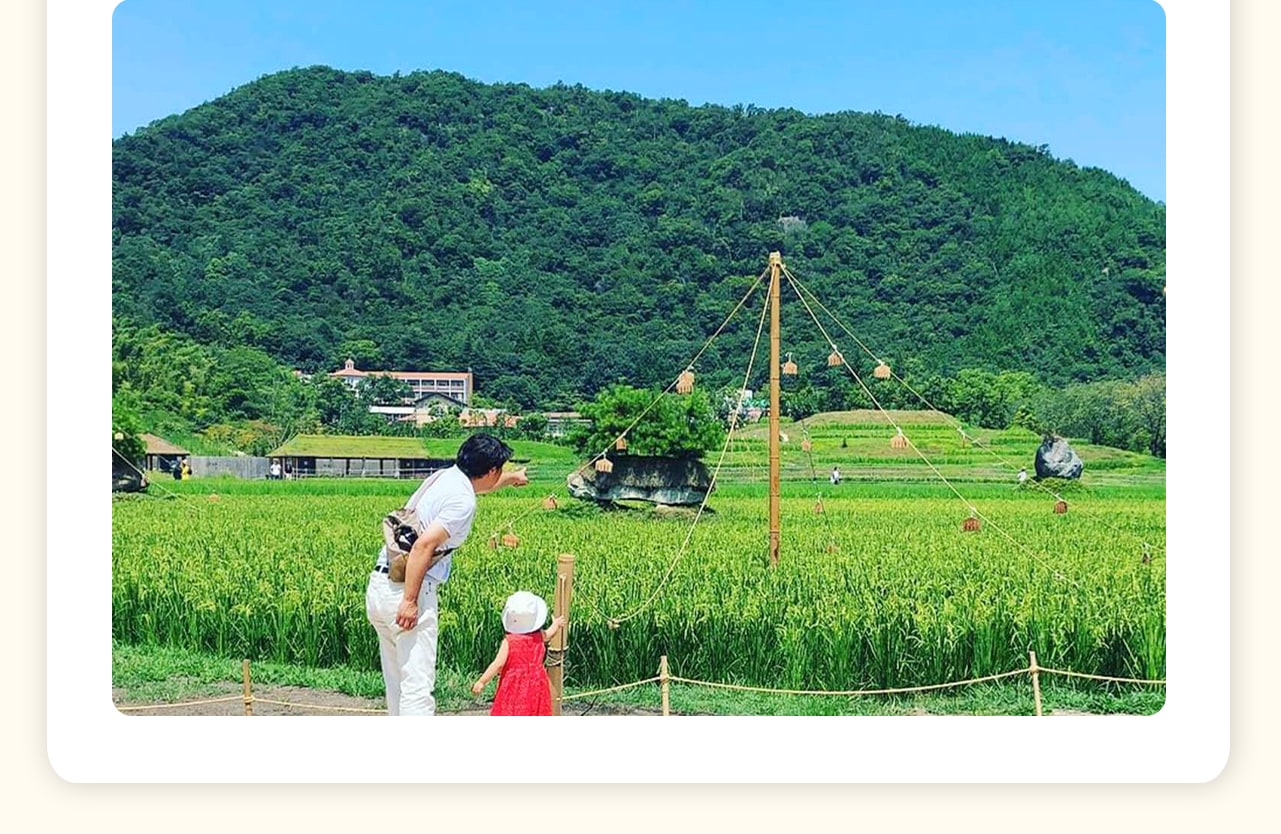 La Collina 近江八幡,巧妙地將自然美景與甜品藝術融合在一起。園內的“草根屋”以綠油油的草皮屋頂呼應周邊的山丘,是一處讓人心靈得到寧靜與療愈的秘境。 La Collina 近江八幡,巧妙地將自然美景與甜品藝術融合在一起。園內的“草根屋”以綠油油的草皮屋頂呼應周邊的山丘,是一處讓人心靈得到寧靜與療愈的秘境。