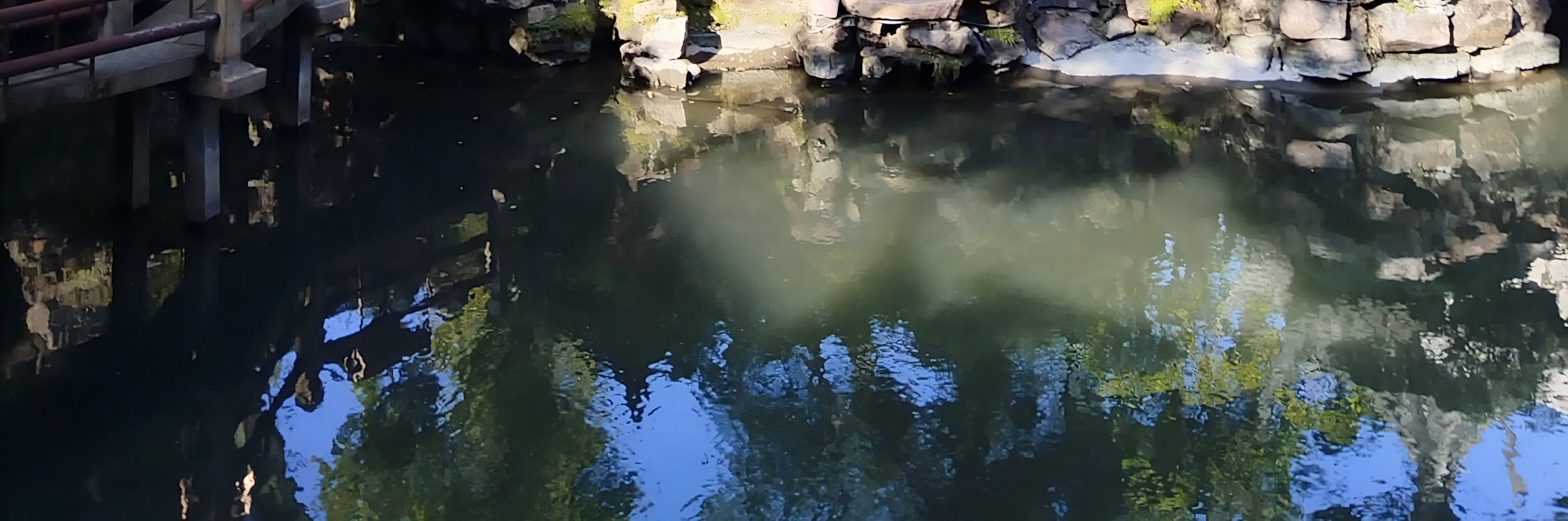 上海豫園專業講解+中國茶體驗之旅