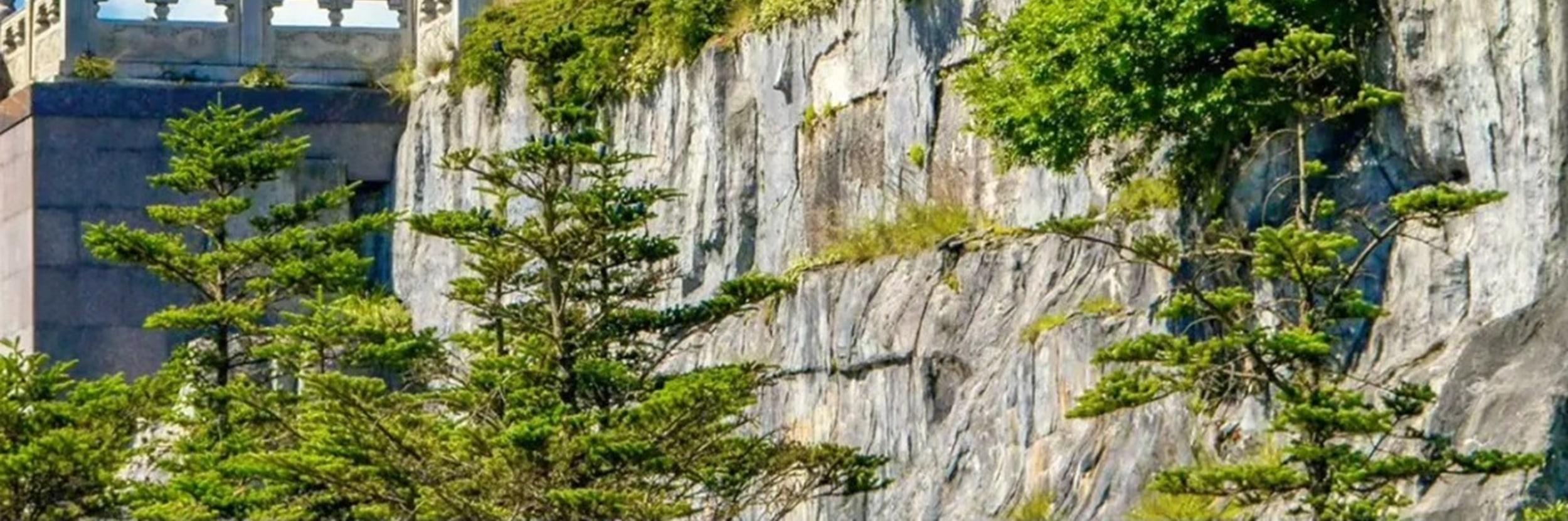四川峨眉山&樂山大佛純玩2日遊（峨眉山金頂+樂山大佛+贈送川劇變臉晚會+當地特色美食+成都市區三環內包接送+4鑽精品酒店+成都往返）