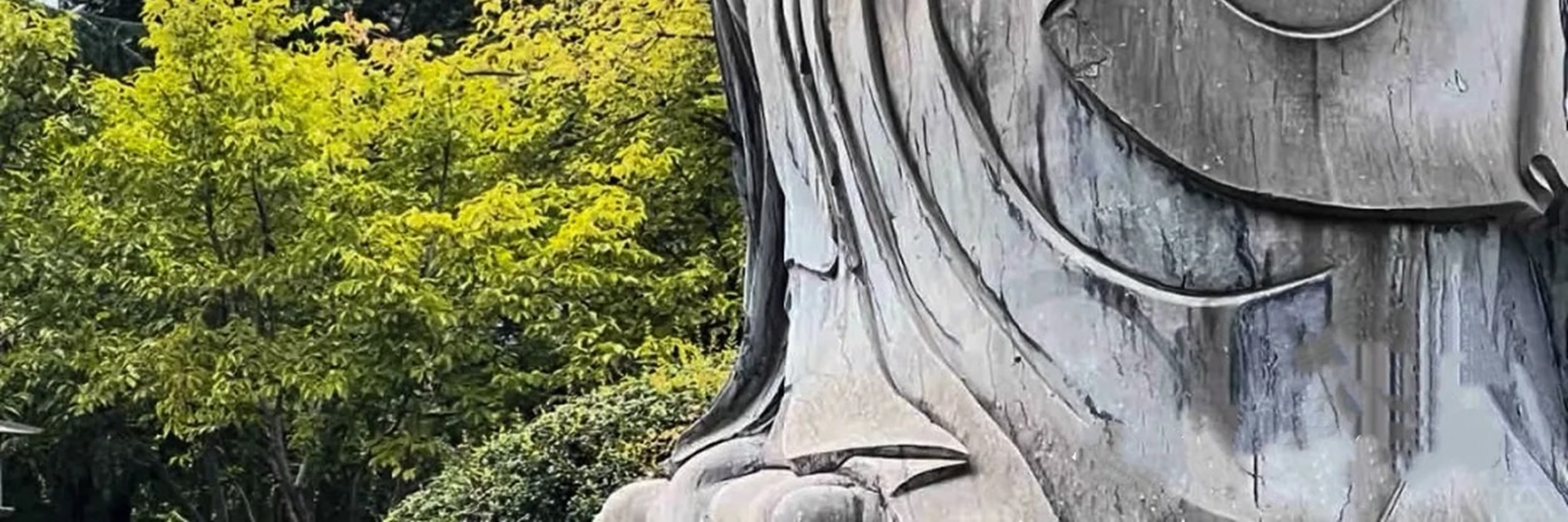 西安兵馬俑博物館+華清池+慈恩寺+西安博物院2日遊（大唐不夜城+探幽華清宮贈送《西安千古情》+特色餐食+4鑽酒店）