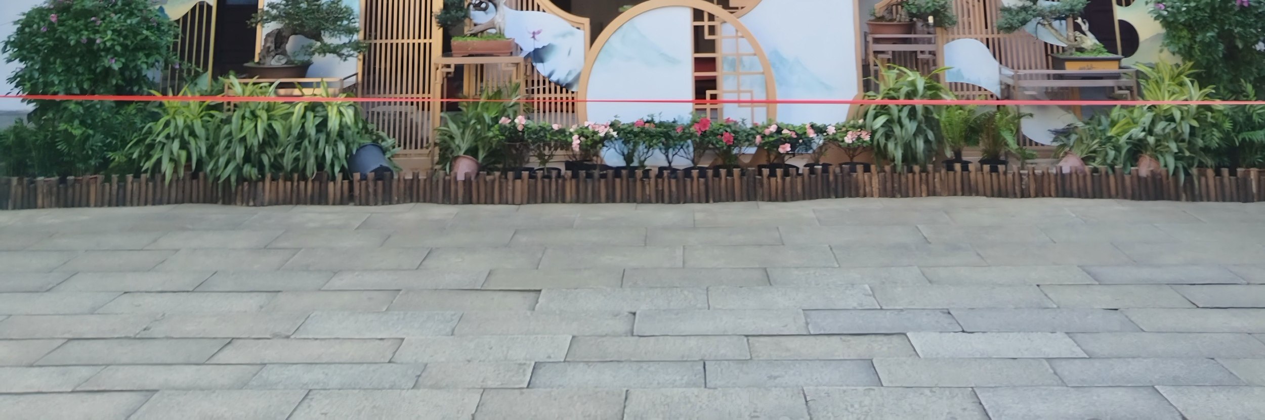 上海豫園專業講解+中國茶體驗之旅
