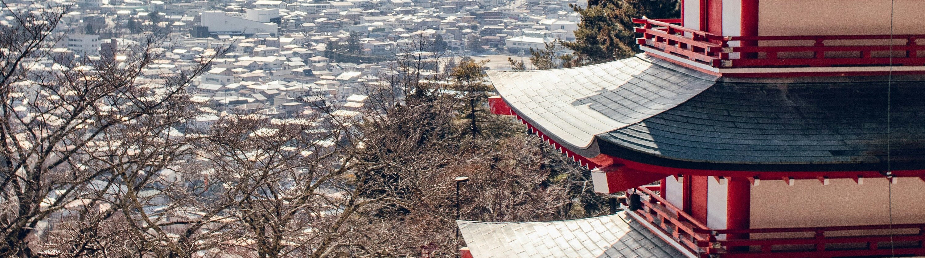 新倉富士淺間神社 (忠靈塔)