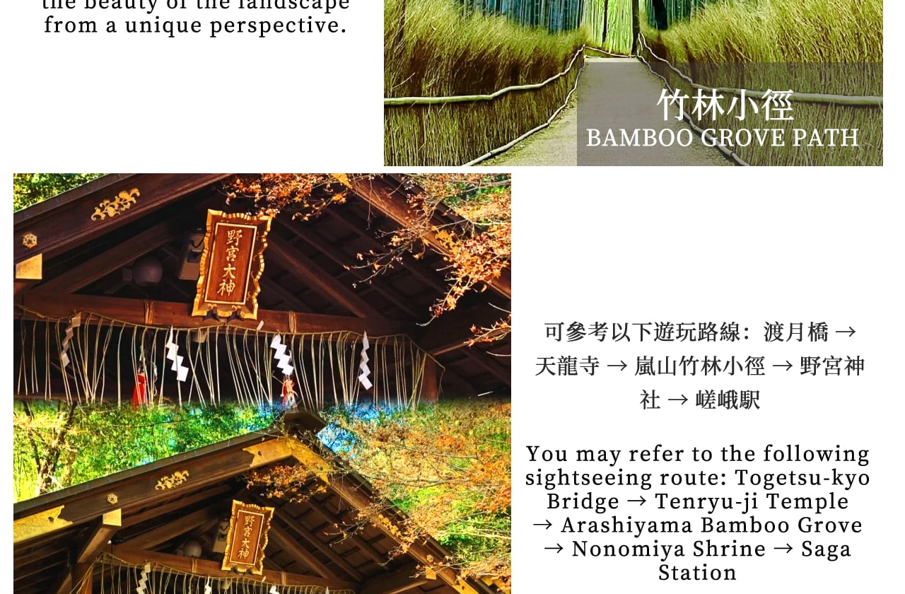 Kyoto Kinkaku-ji Temple, Arashiyama Free Stroll & Night Cherry Blossom/Autumn Leaves Illumination Arashiyama Sagano Romantic Train Day Trip (Departing from Osaka/Kyoto) - Thumbnail 9