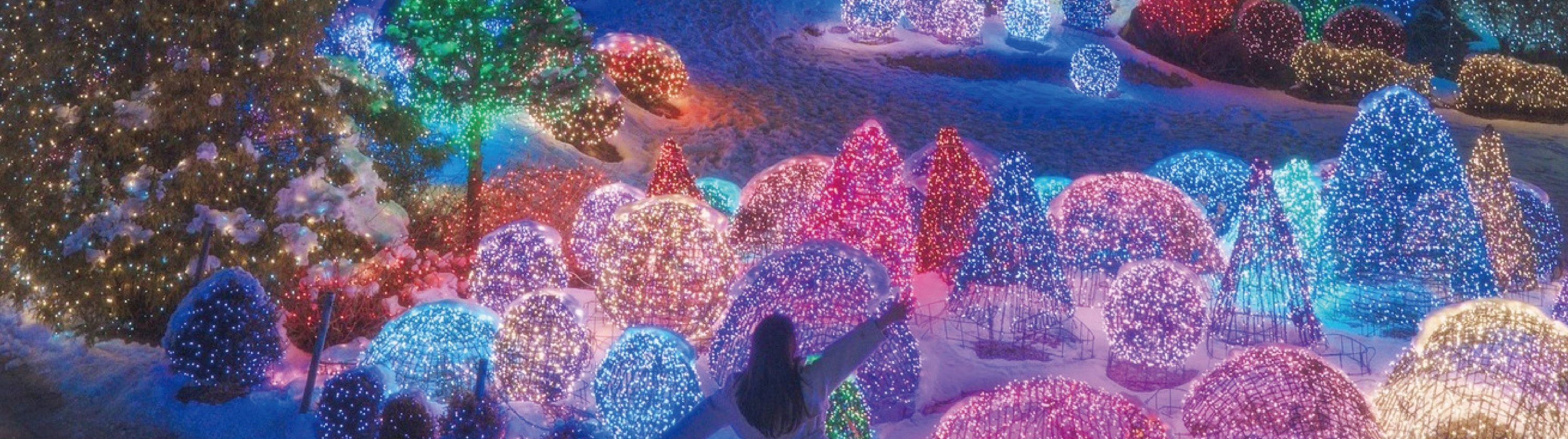 Cheongyang Ice Festival & Nami & Eobi Ice Valley & Strawberry Tour