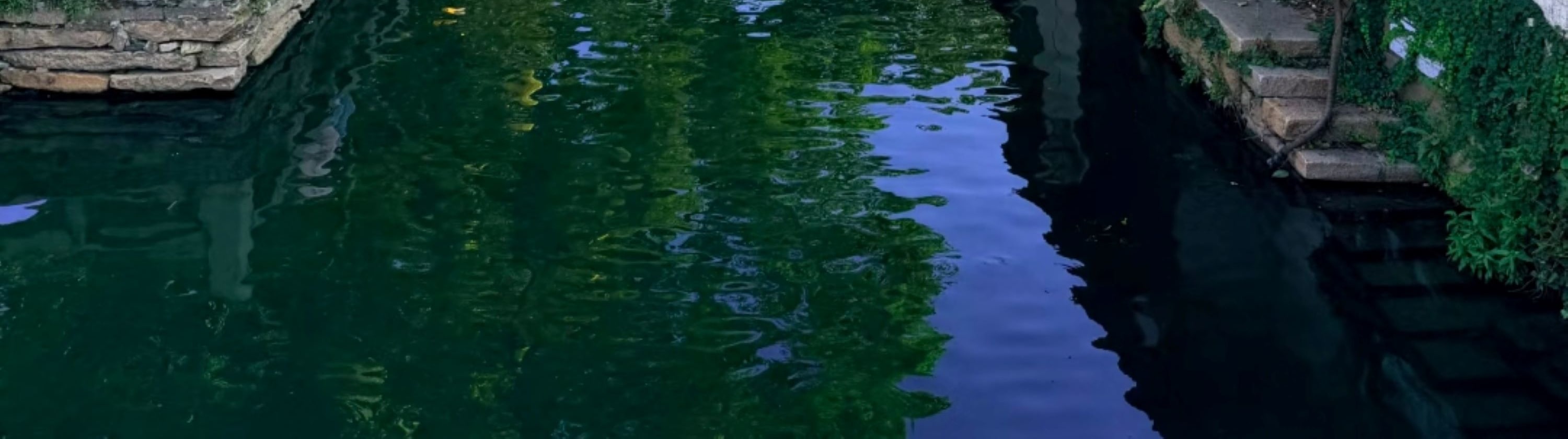 周莊日間水鄉風貌,河道清澈,烏篷船悠悠穿行,兩岸黛瓦白牆的民居錯落,綠樹垂蔭,黃燈籠點綴其間,遊人或閒坐岸邊,盡顯江南古鎮的寧靜與菸火氣 周莊日間水鄉風貌,河道清澈,烏篷船悠悠穿行,兩岸黛瓦白牆的民居錯落,綠樹垂蔭,黃燈籠點綴其間,遊人或閒坐岸邊,盡顯江南古鎮的寧靜與菸火氣