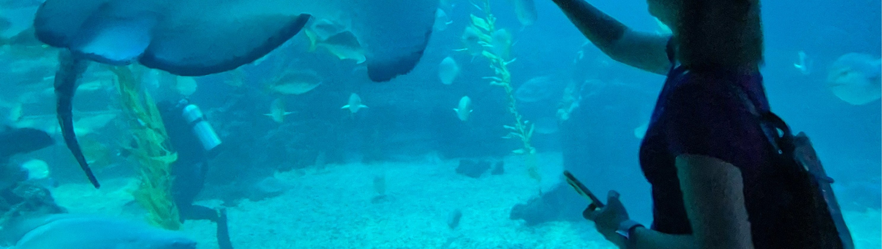 (D.EAST)：Eco Land 森林小火車生態公園 - Snoopy Garden 史努比花園 - 水族館 - 涉地可支 - 鐵道自行車