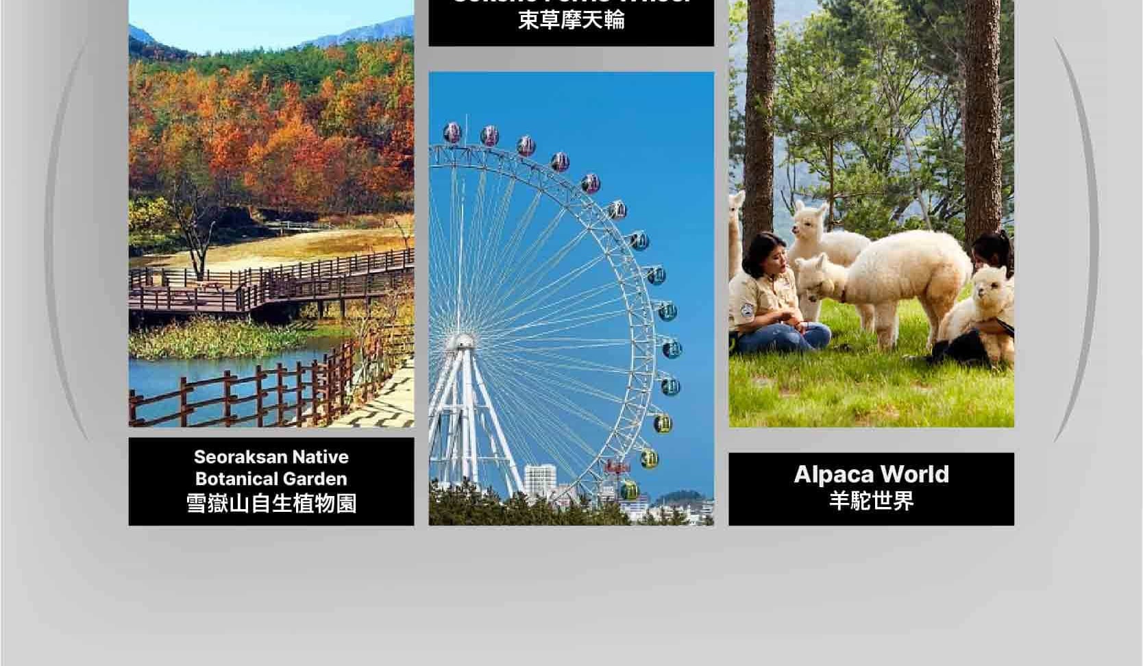 首爾私人訂製汽車之旅