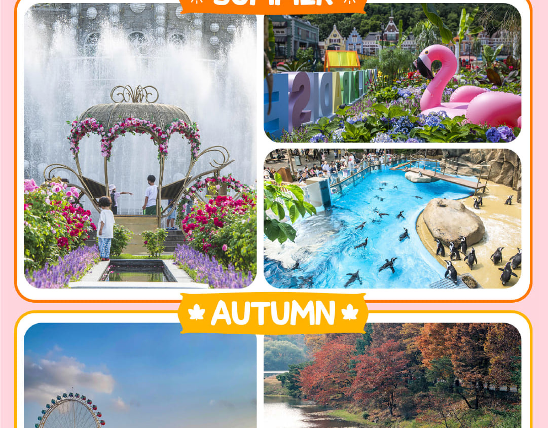 愛寶樂園 & 首爾樂天世界探險 & 城市一日遊