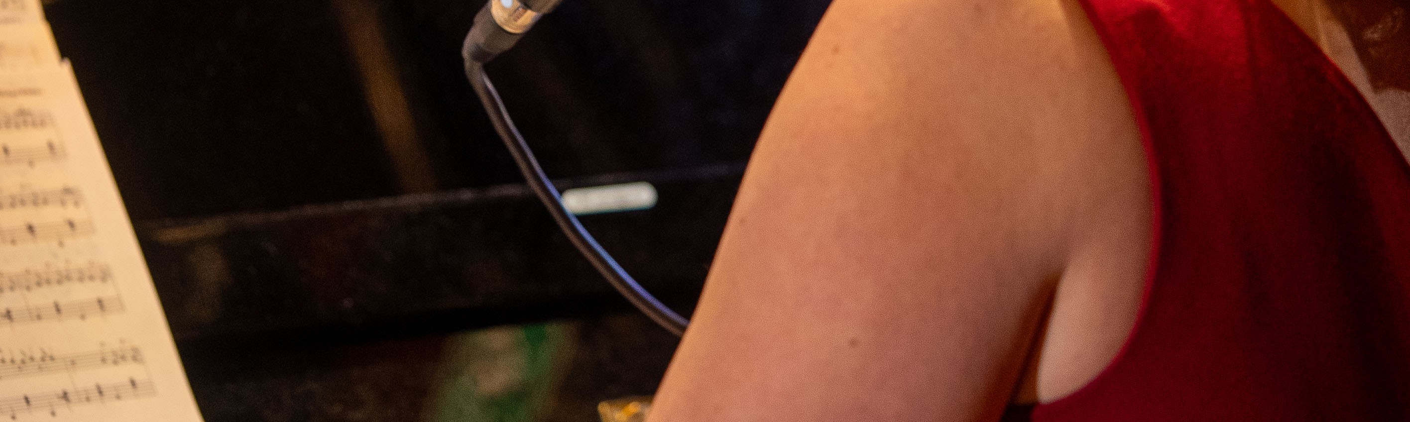 登上遊輪，沉浸在才華洋溢的現場表演者所營造的迷人氛圍中，盡享海上時光。