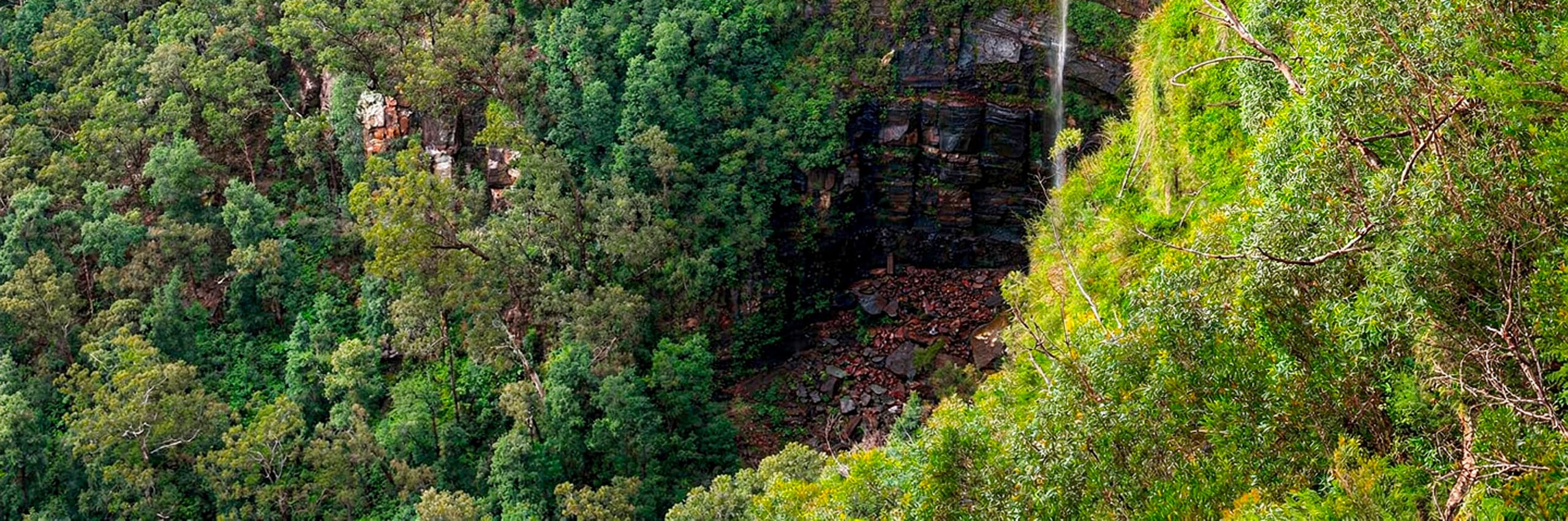 藍山最壯麗的觀景點之一，可將廣闊的格羅斯山谷和壯麗的新娘面紗瀑布一覽無遺。