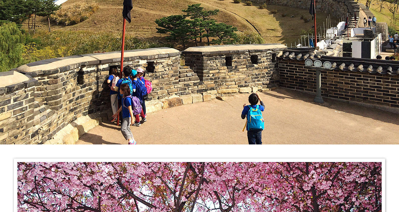 首爾出發，水原華城 + 星田 + 臥龍寺一日遊