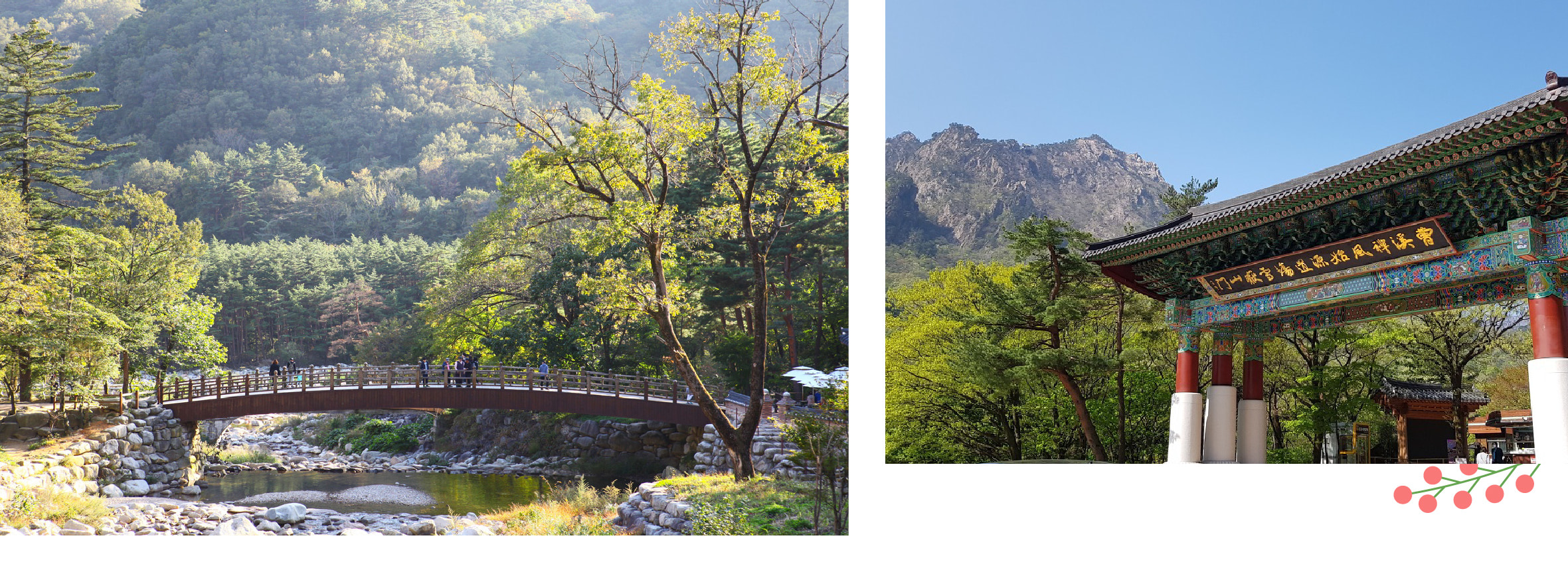 雪嶽山 & 洛山寺一日遊（首爾出發）